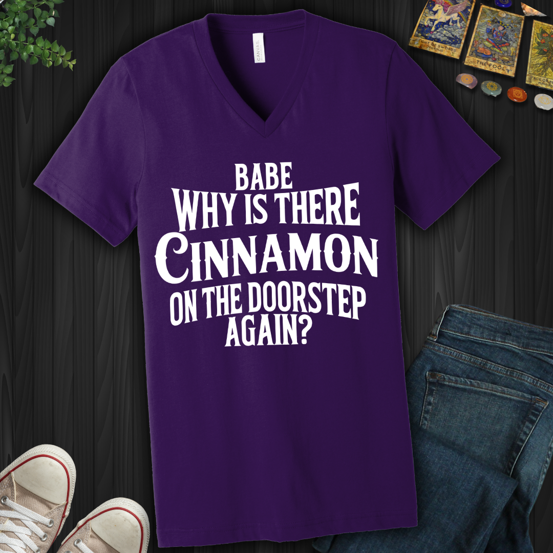 Babe, Why Is There Cinnamon V-Neck Tee