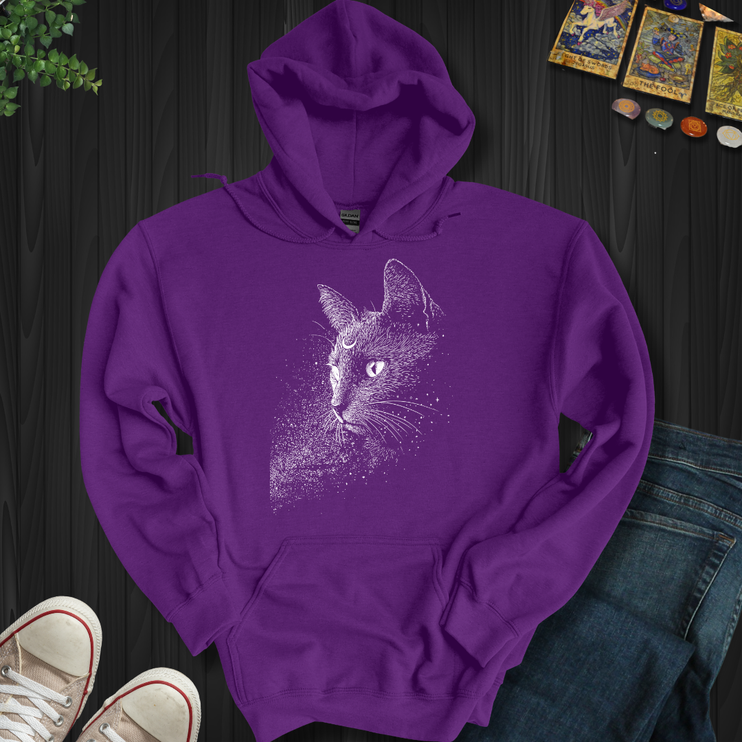 Moonlit Familiar Hooded Sweatshirt