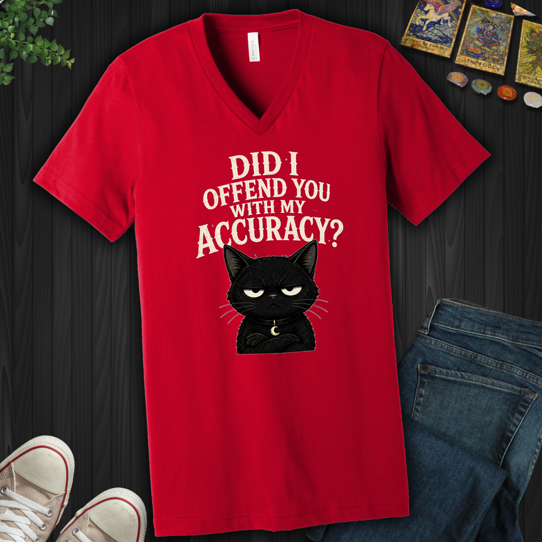 Did I Offend You With My Accuracy- V-Neck