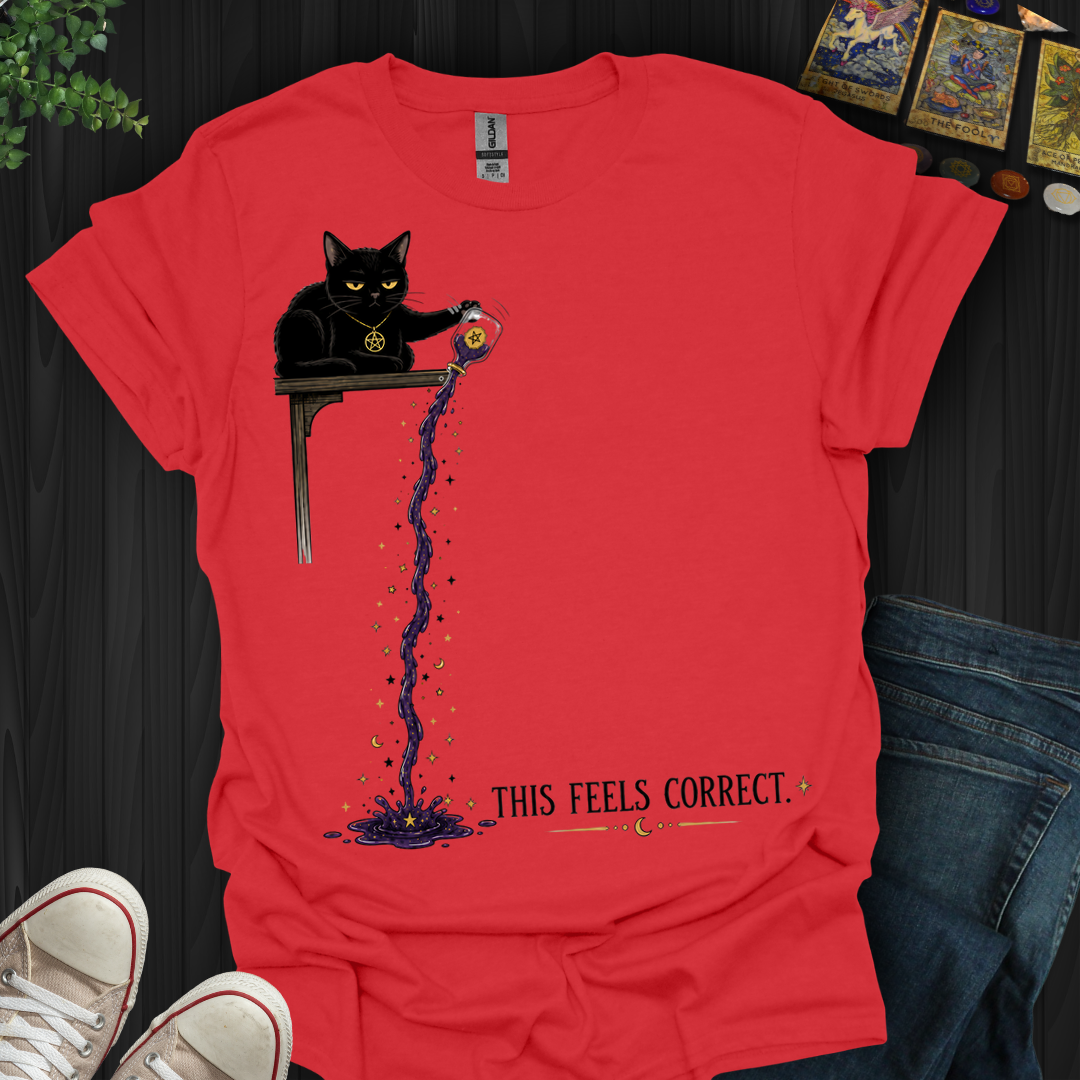 This Feels Correct- T-Shirt