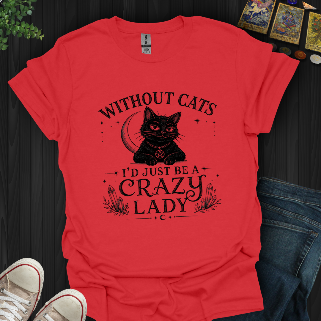 Just Be A Crazy Lady- T-Shirt