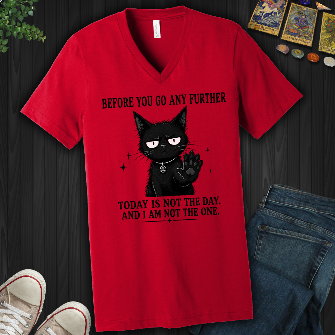 Today Is Not The Day- V-Neck