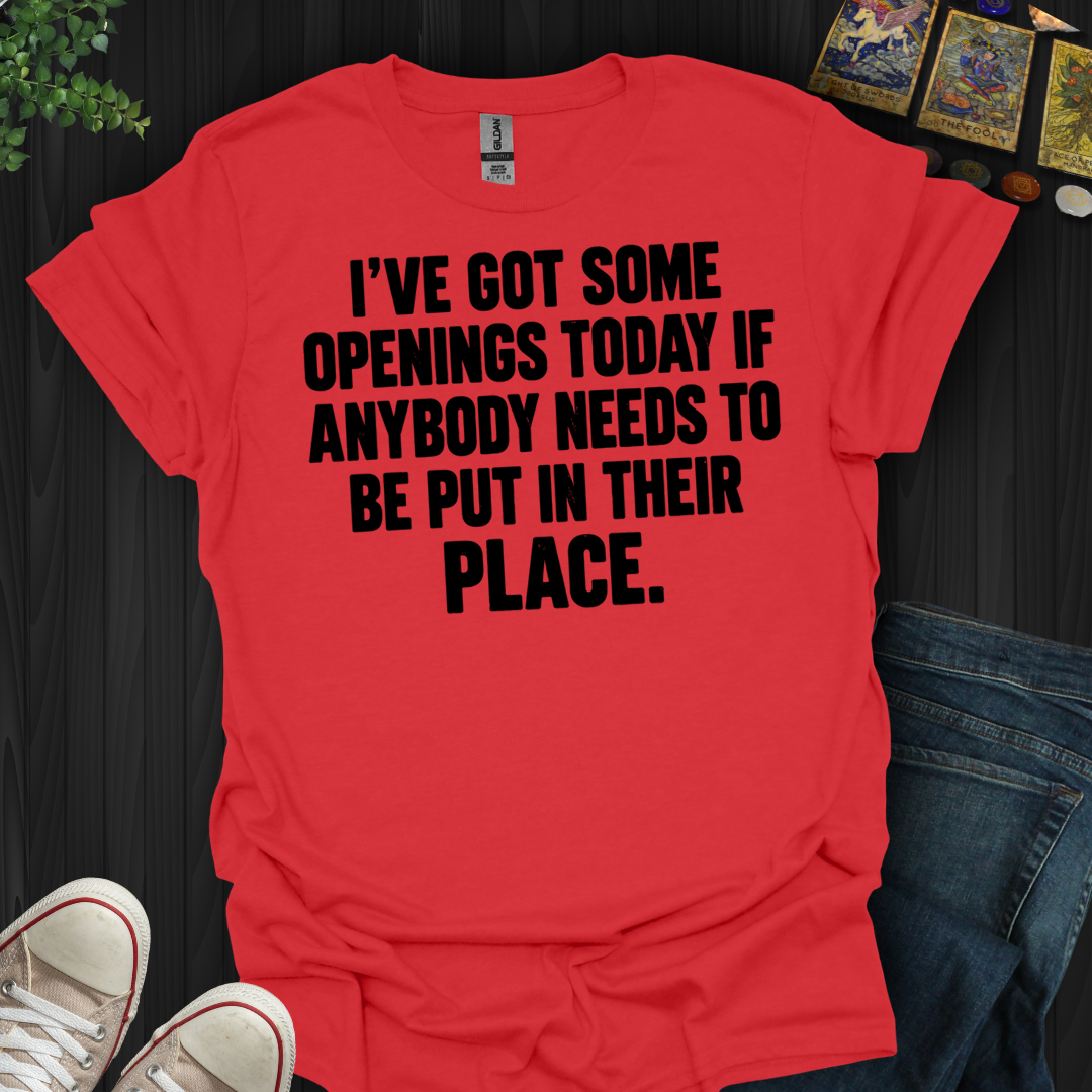 Put In Their Place- T-Shirt