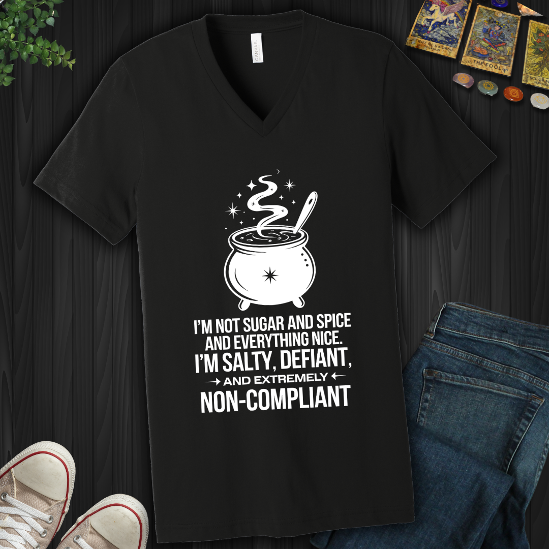 Non-Compliant V-Neck Tee