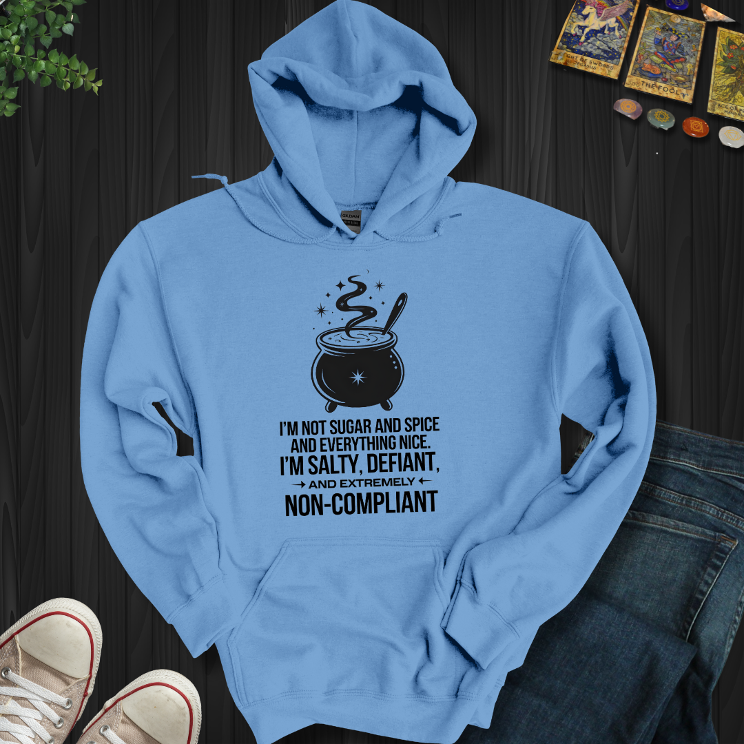 Non-Compliant Hooded Sweatshirt