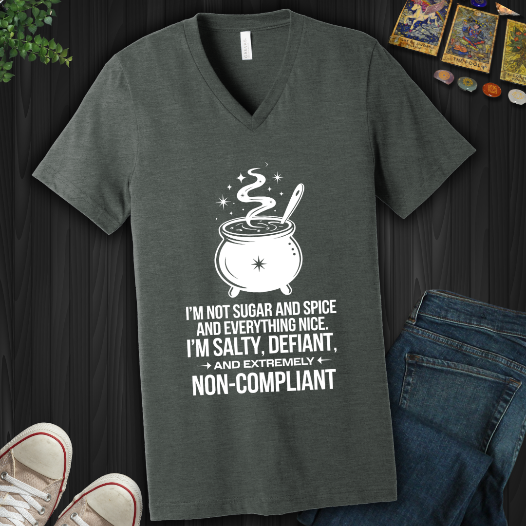Non-Compliant V-Neck Tee