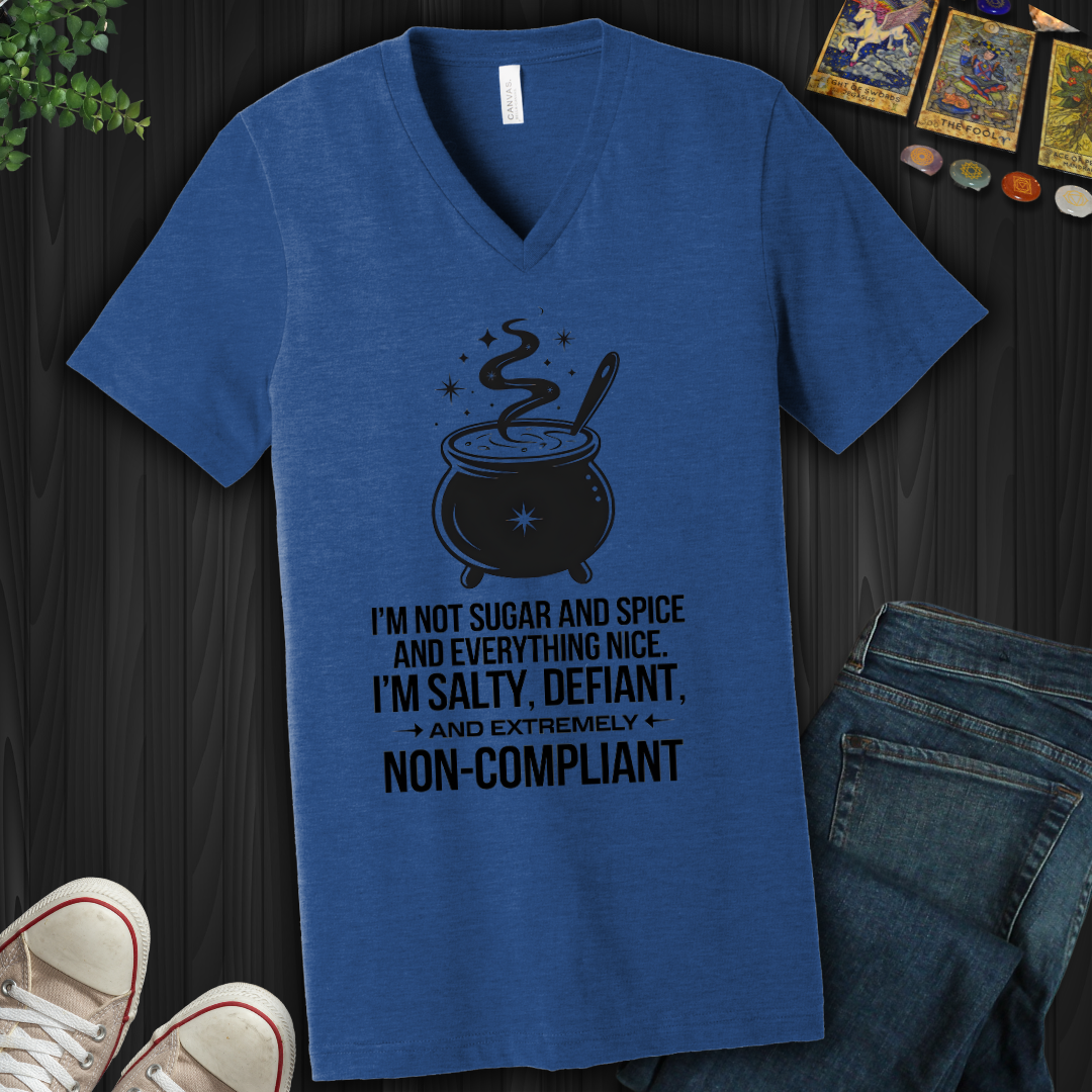 Non-Compliant V-Neck Tee