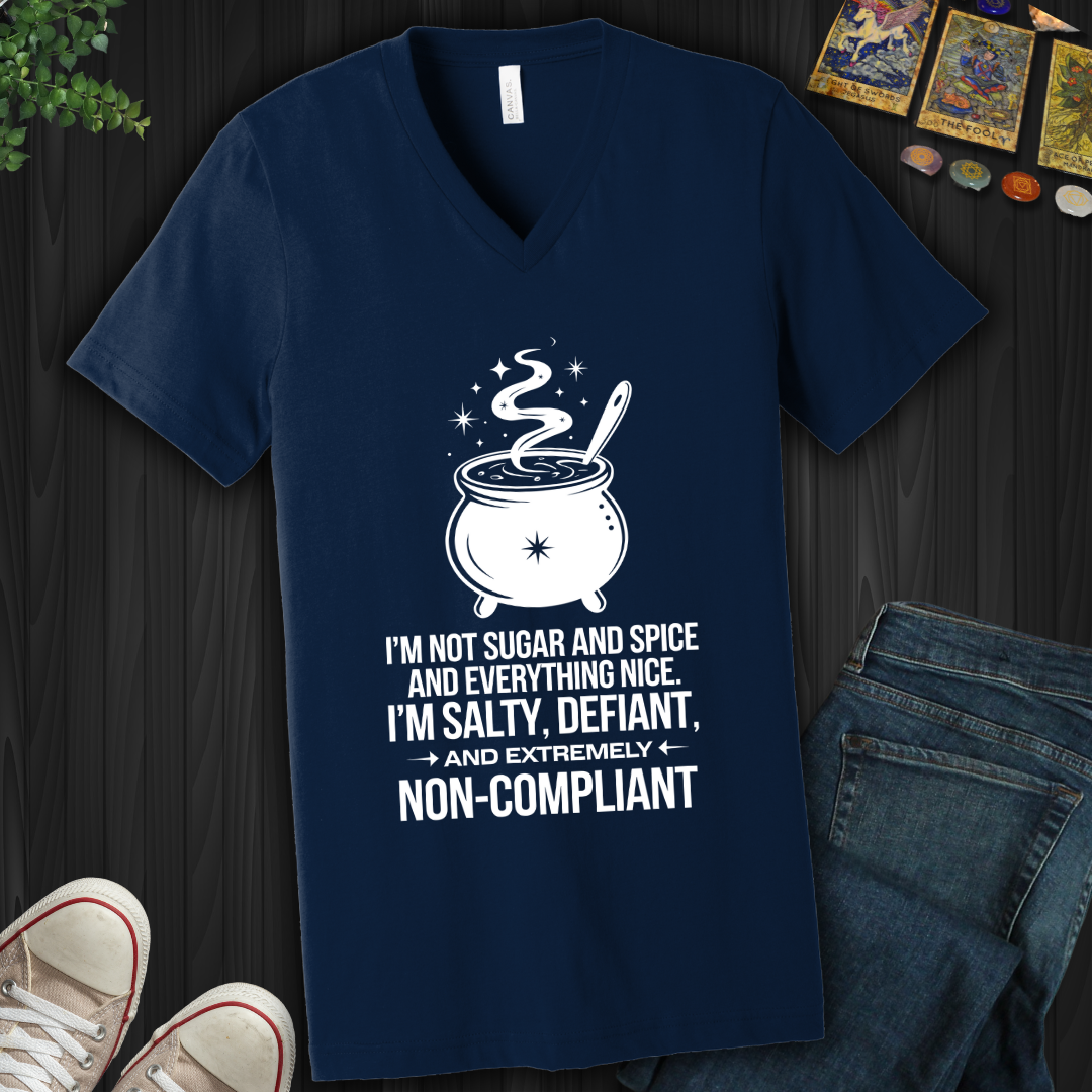 Non-Compliant V-Neck Tee