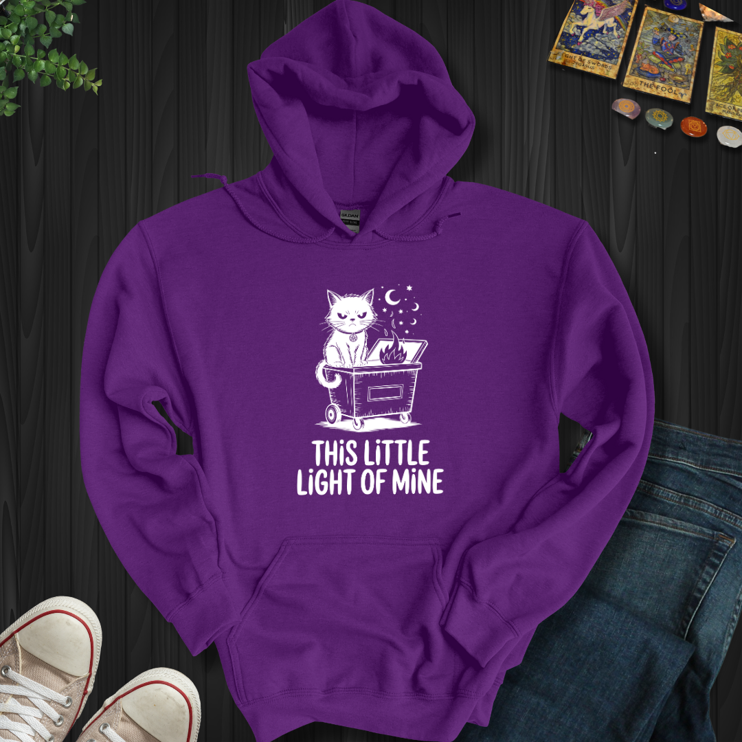 This Little Light Of Mine Hooded Sweatshirt