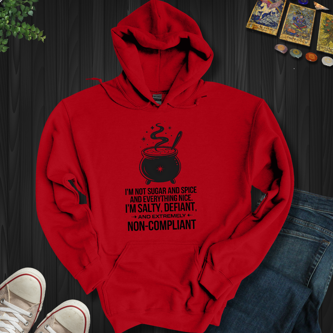 Non-Compliant Hooded Sweatshirt