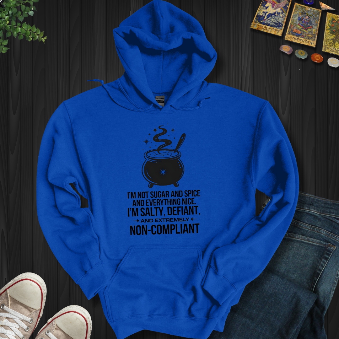 Non-Compliant Hooded Sweatshirt