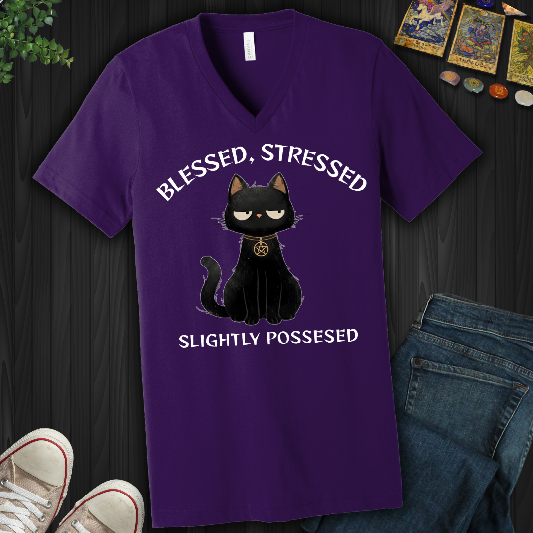 Blessed, Stressed, Slightly Possessed V-Neck Tee