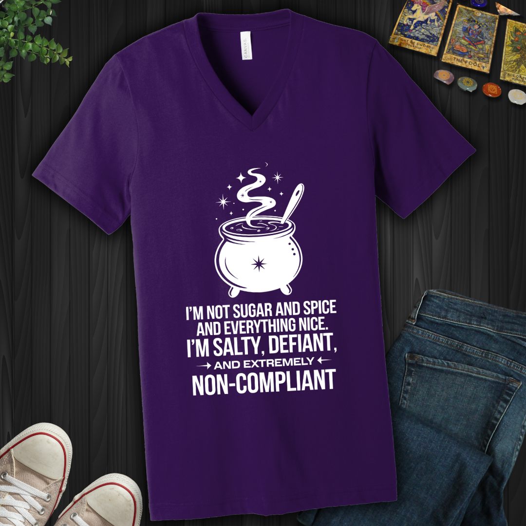 Non-Compliant V-Neck Tee