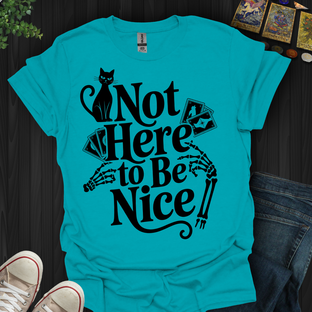 Not Here to Be Nice T-Shirt