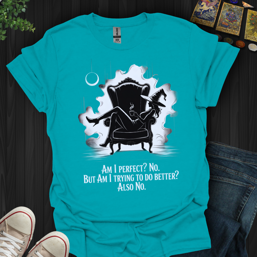 Perfect? No. Trying? Also No T-Shirt