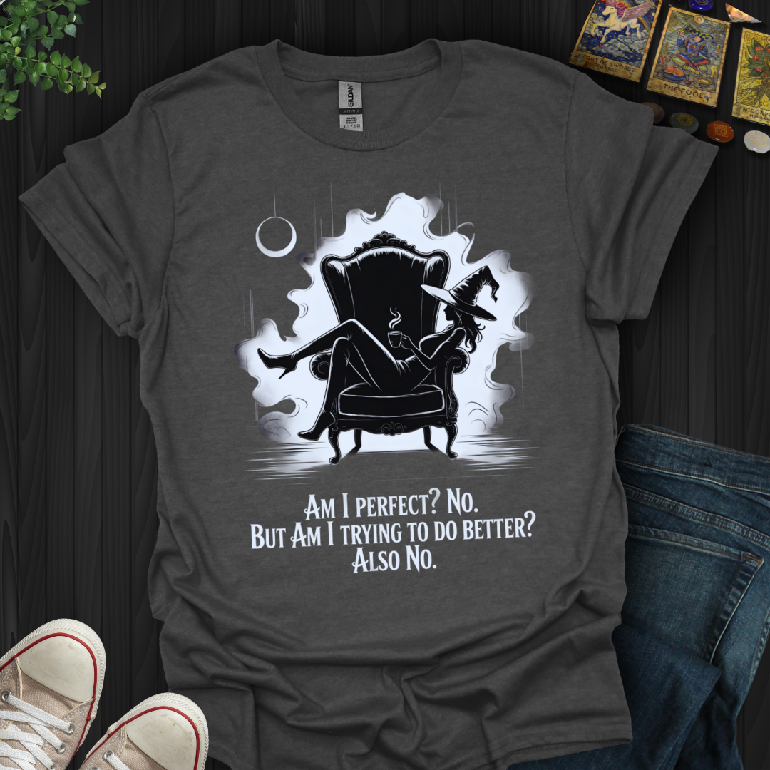 Perfect? No. Trying? Also No T-Shirt