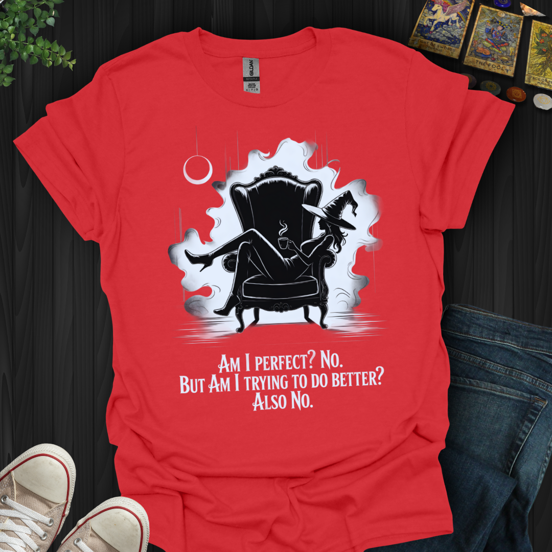 Perfect? No. Trying? Also No T-Shirt