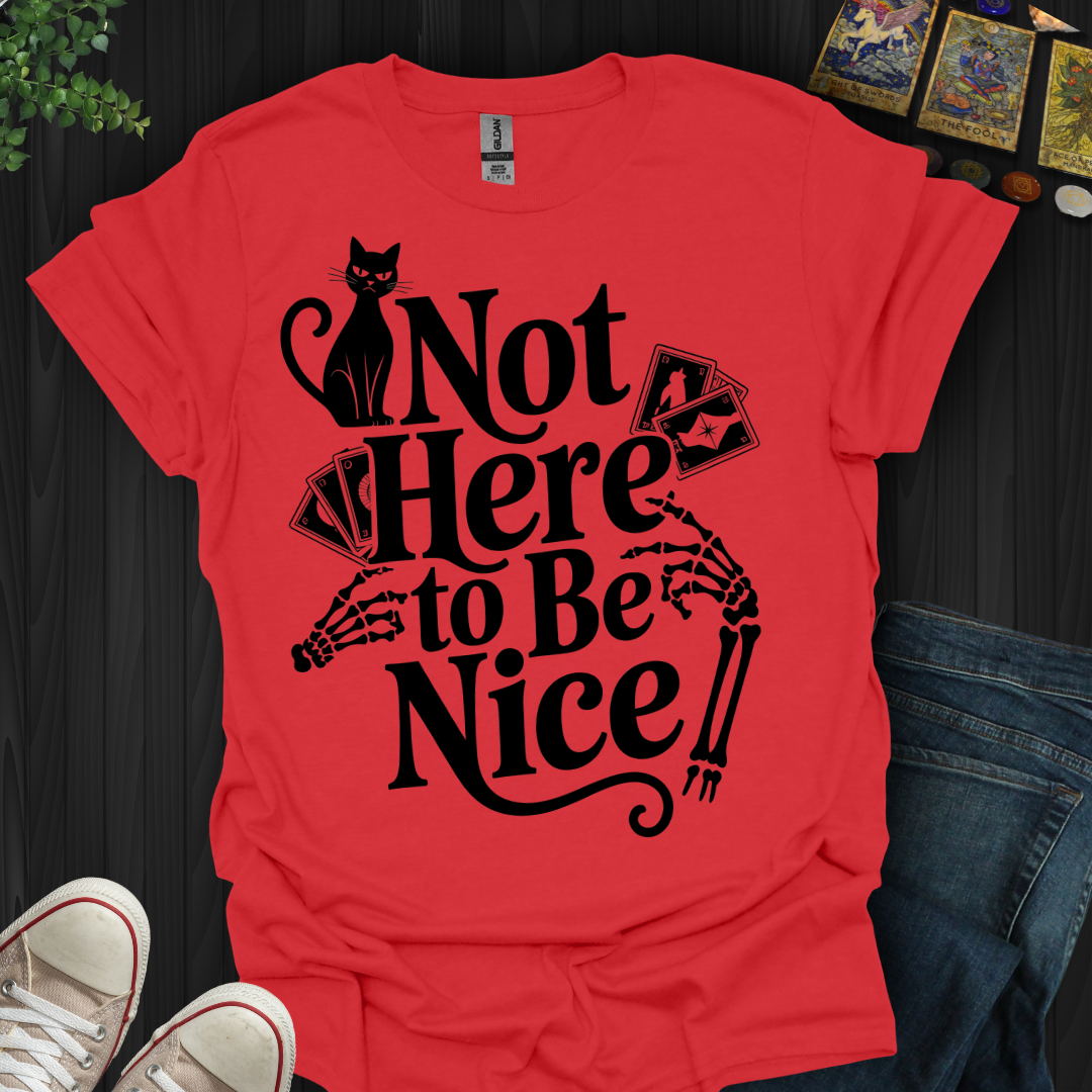 Not Here to Be Nice T-Shirt