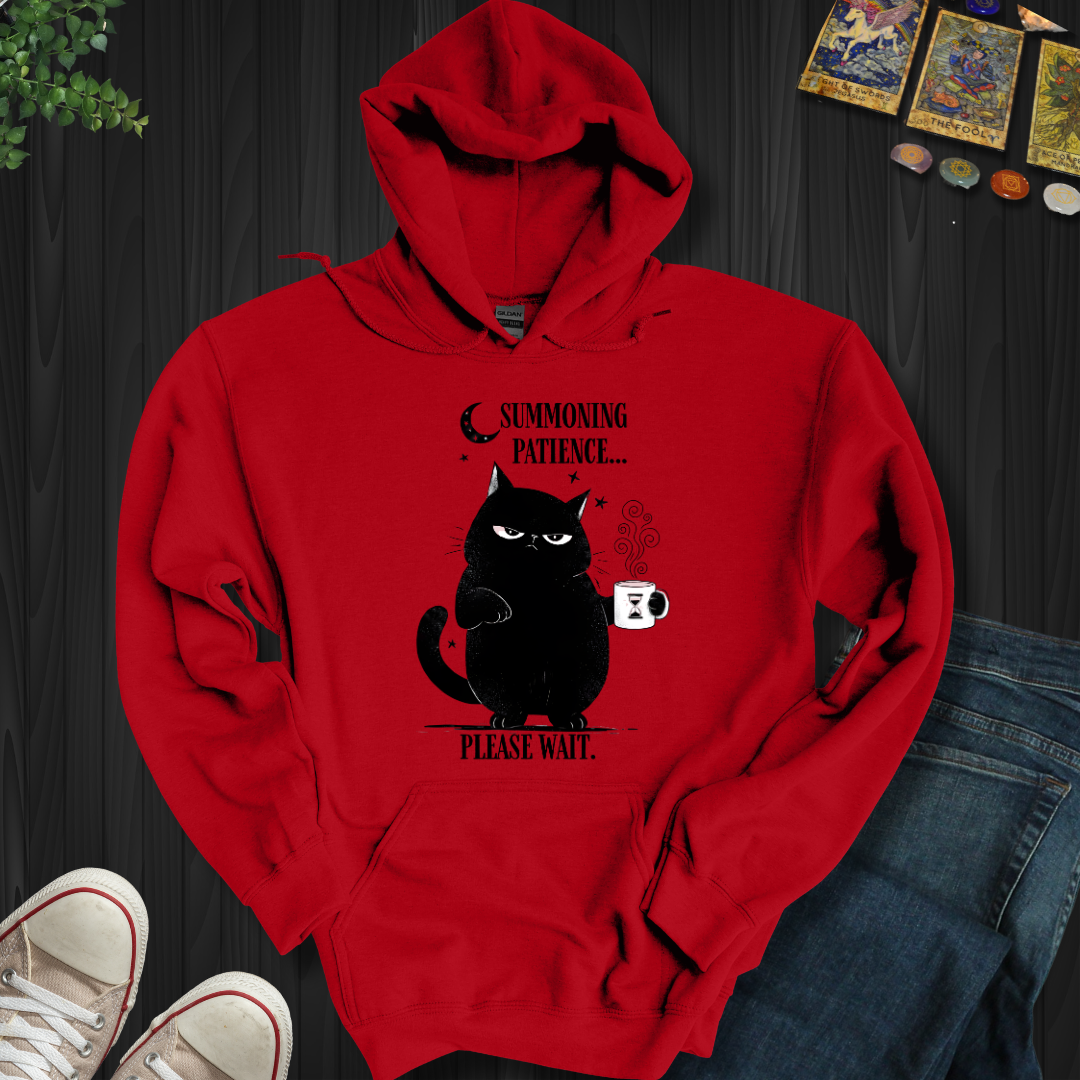 Summoning Patience  Hooded Sweatshirt