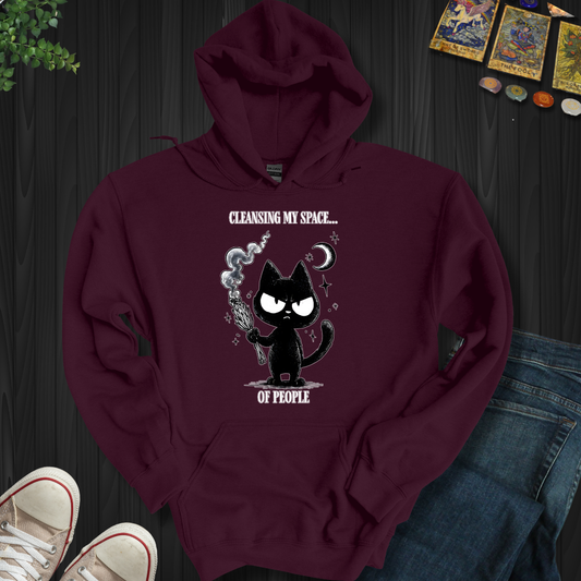Cleansing My Space Hooded Sweatshirt
