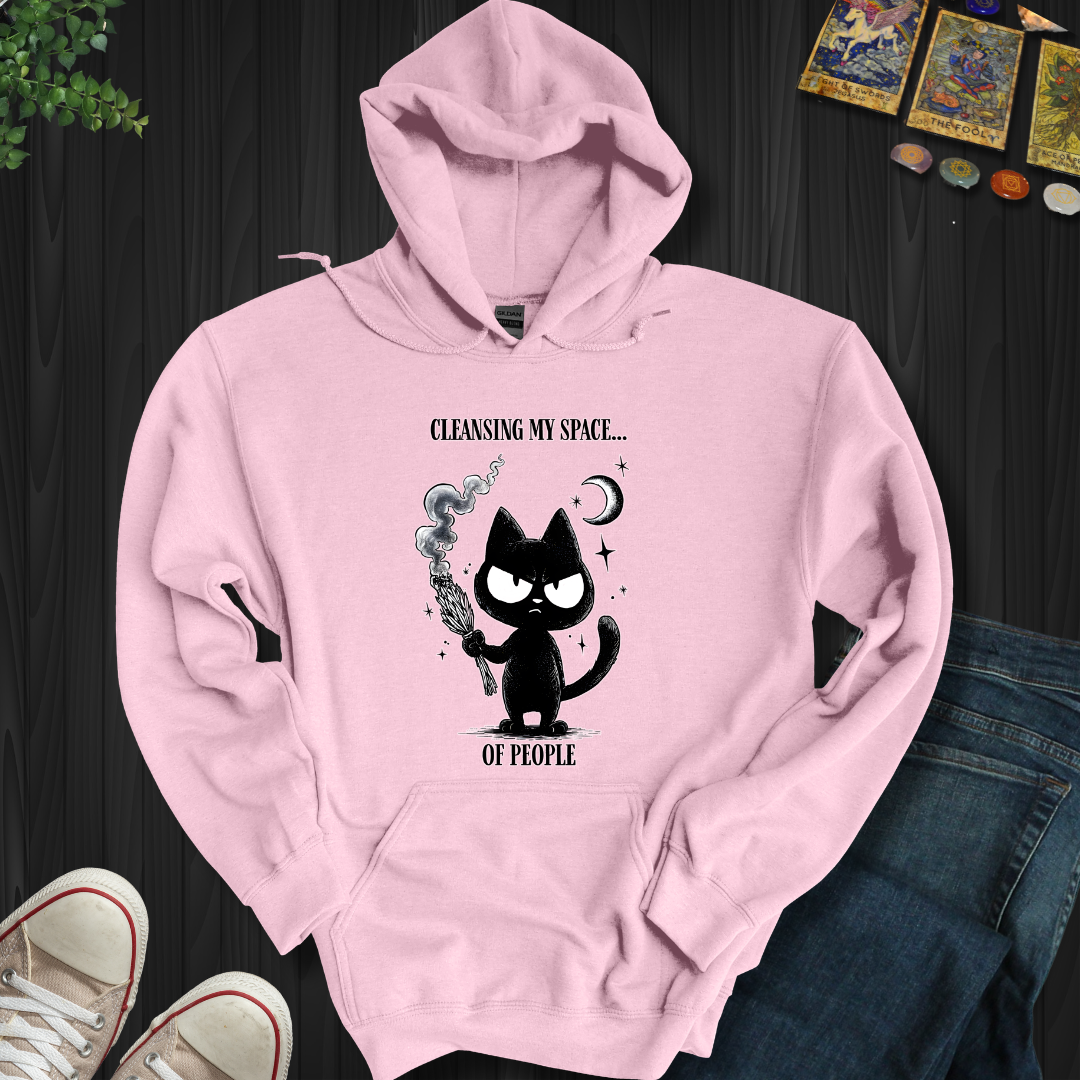 Cleansing My Space Hooded Sweatshirt