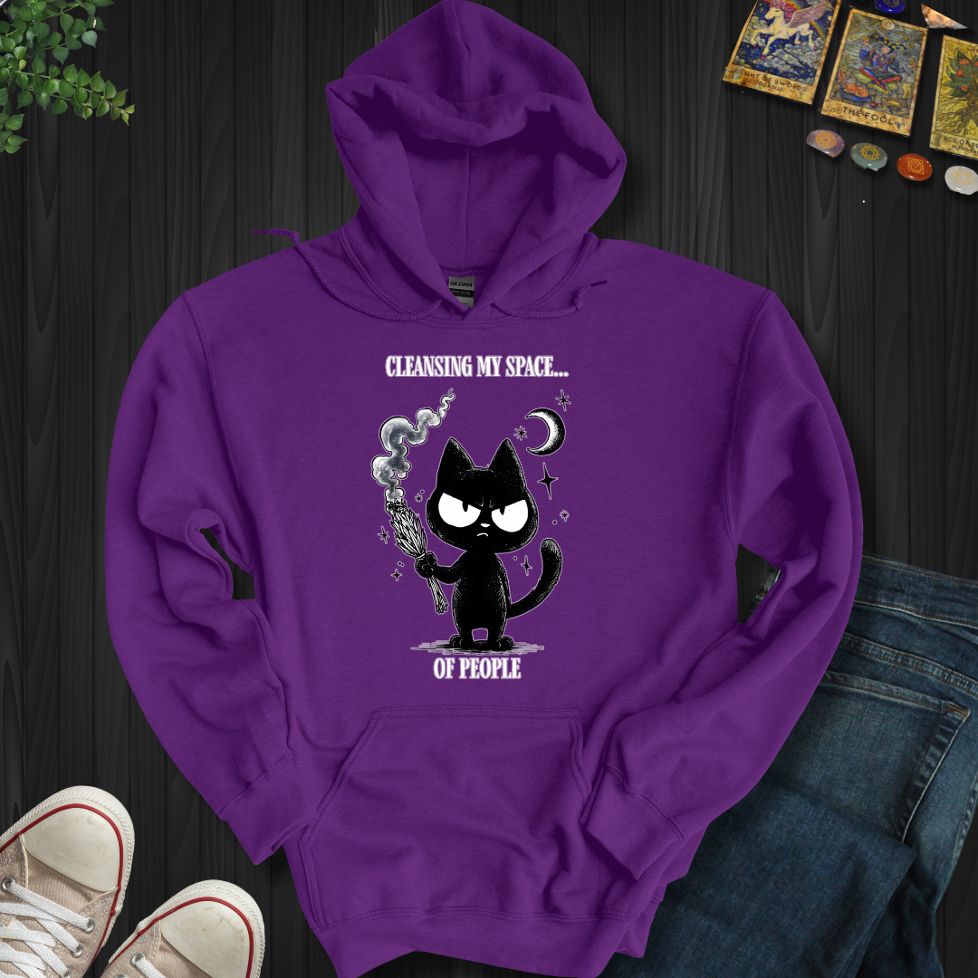 Cleansing My Space Hooded Sweatshirt