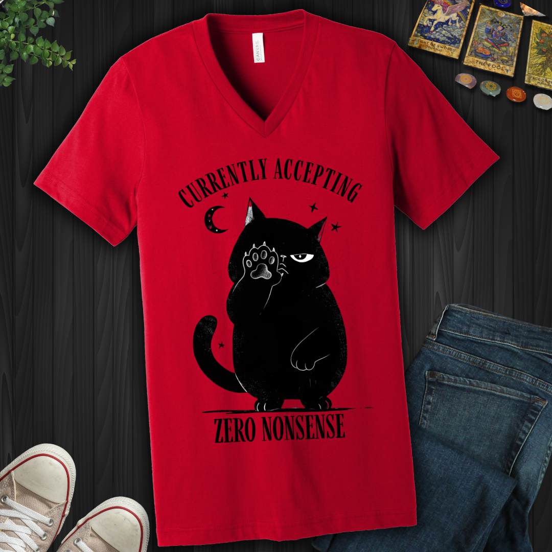 Currently Accepting Zero Nonsense V-Neck Tee
