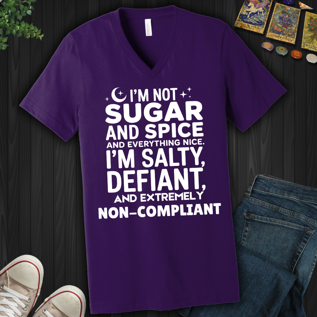 Extremely Non-Compliant V-Neck Tee