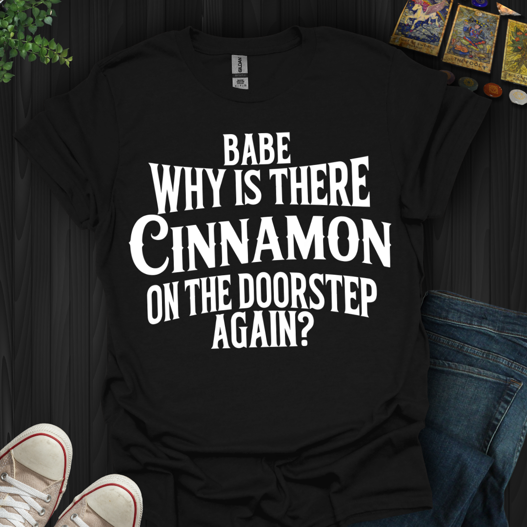 Babe, Why Is There Cinnamon T-Shirt