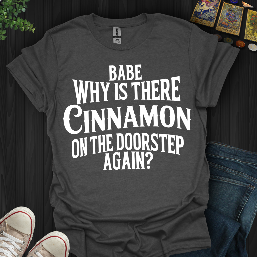 Babe, Why Is There Cinnamon T-Shirt