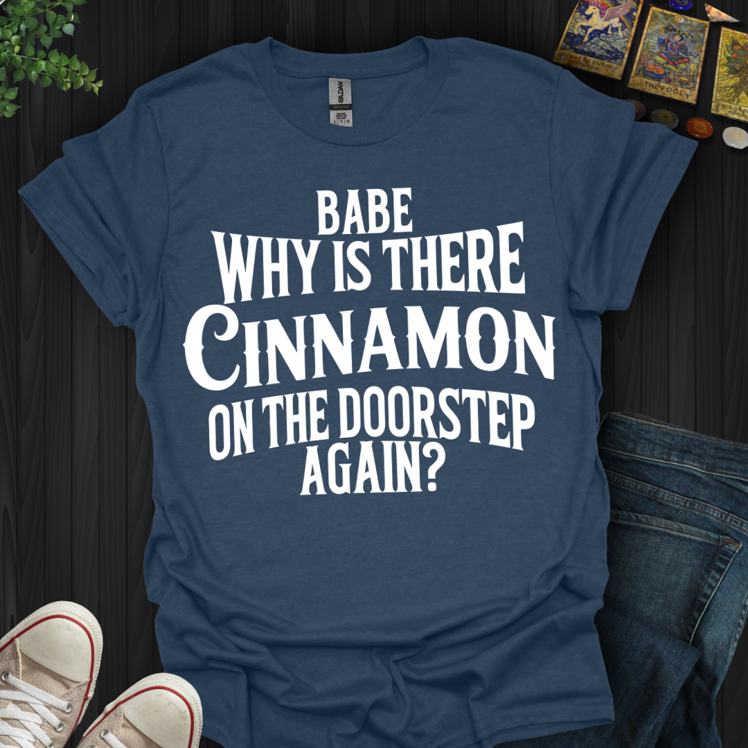 Babe, Why Is There Cinnamon T-Shirt