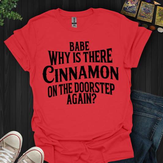 Babe, Why Is There Cinnamon T-Shirt