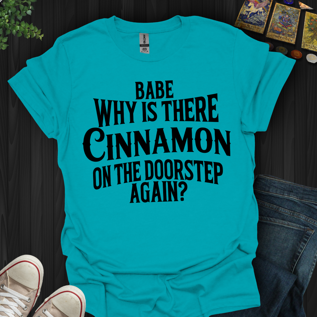 Babe, Why Is There Cinnamon T-Shirt