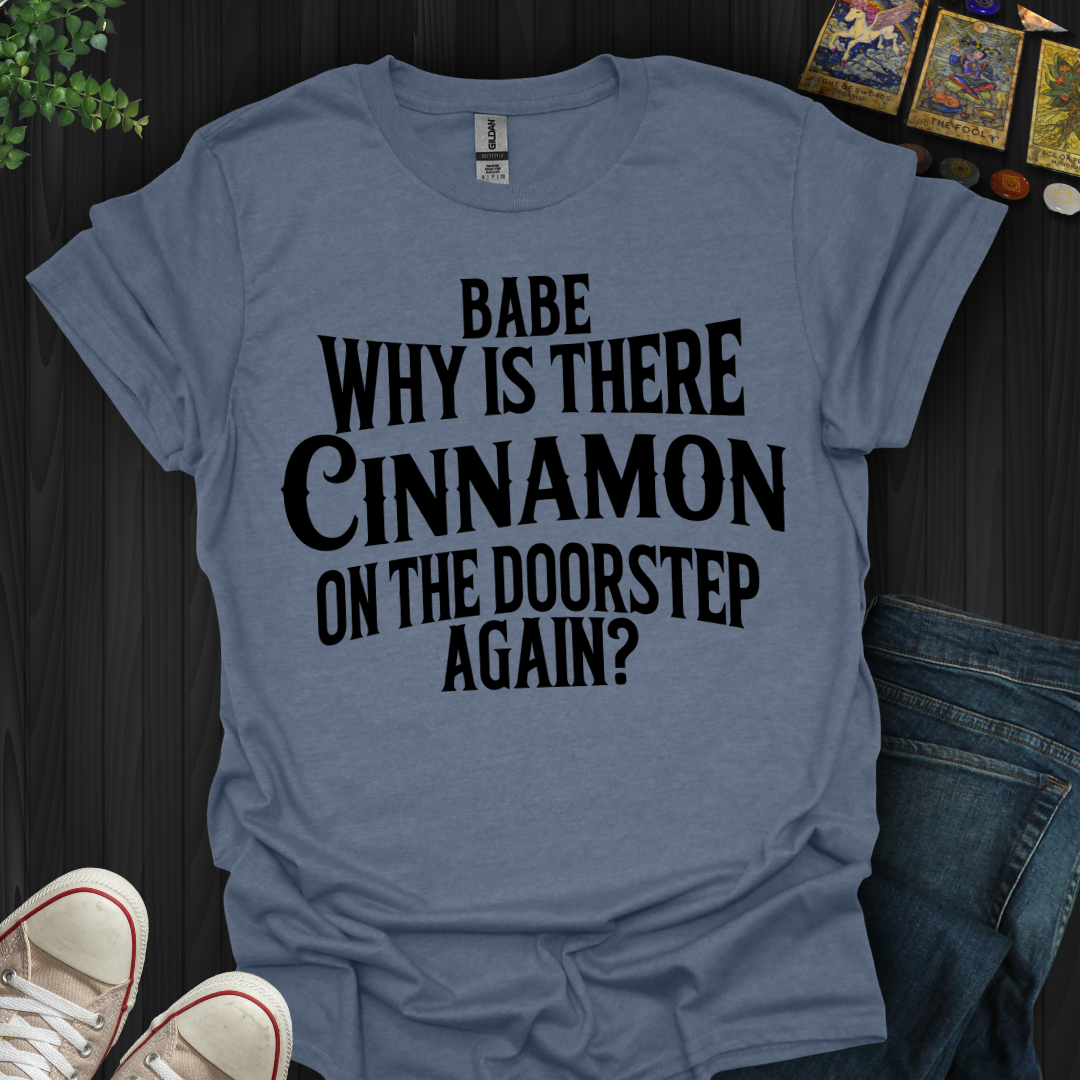 Babe, Why Is There Cinnamon T-Shirt