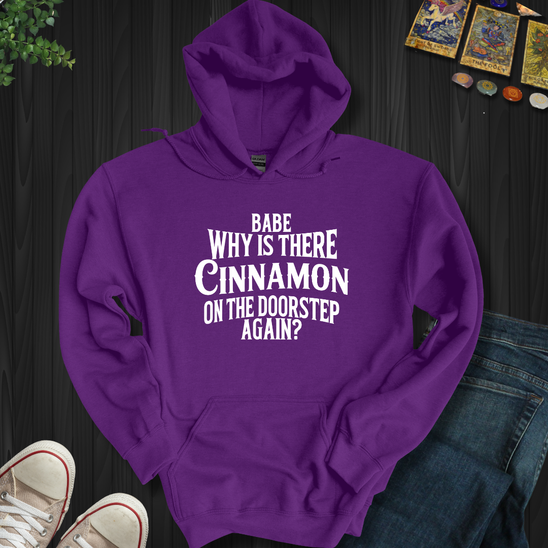 Babe, Why Is There Cinnamon Hooded Sweatshirt