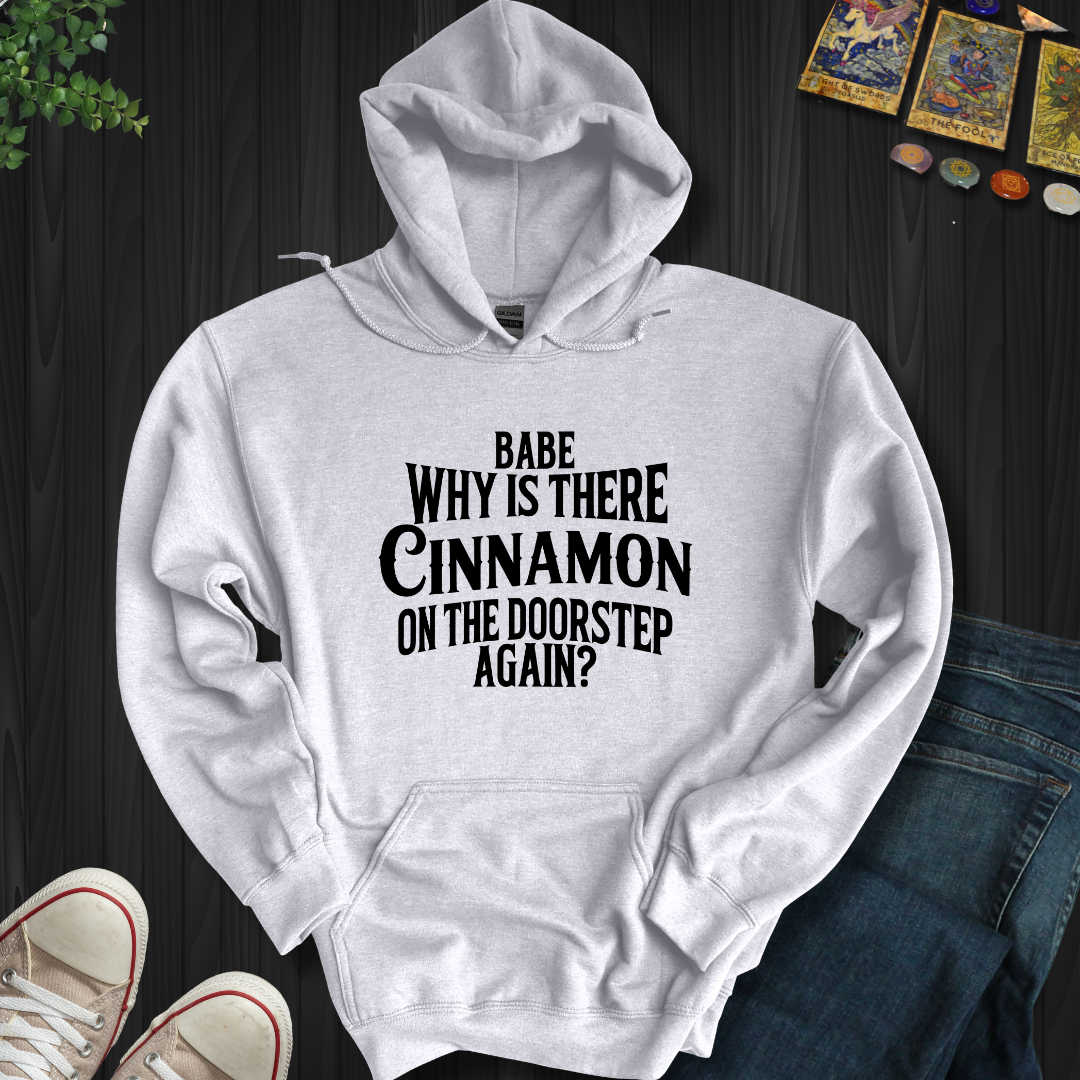 Babe, Why Is There Cinnamon Hooded Sweatshirt