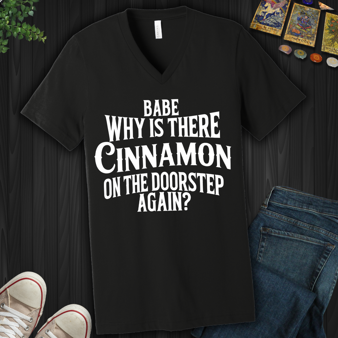 Babe, Why Is There Cinnamon V-Neck Tee