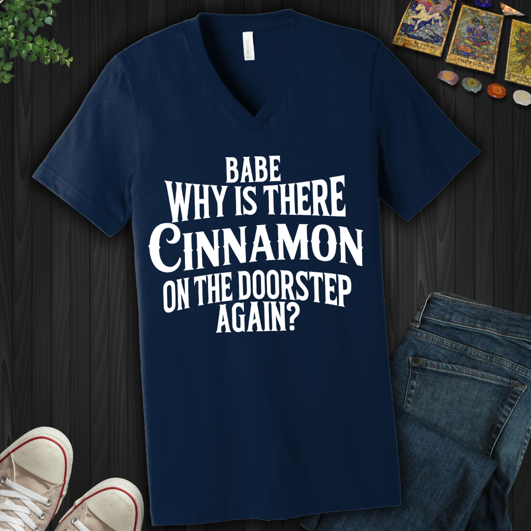 Babe, Why Is There Cinnamon V-Neck Tee