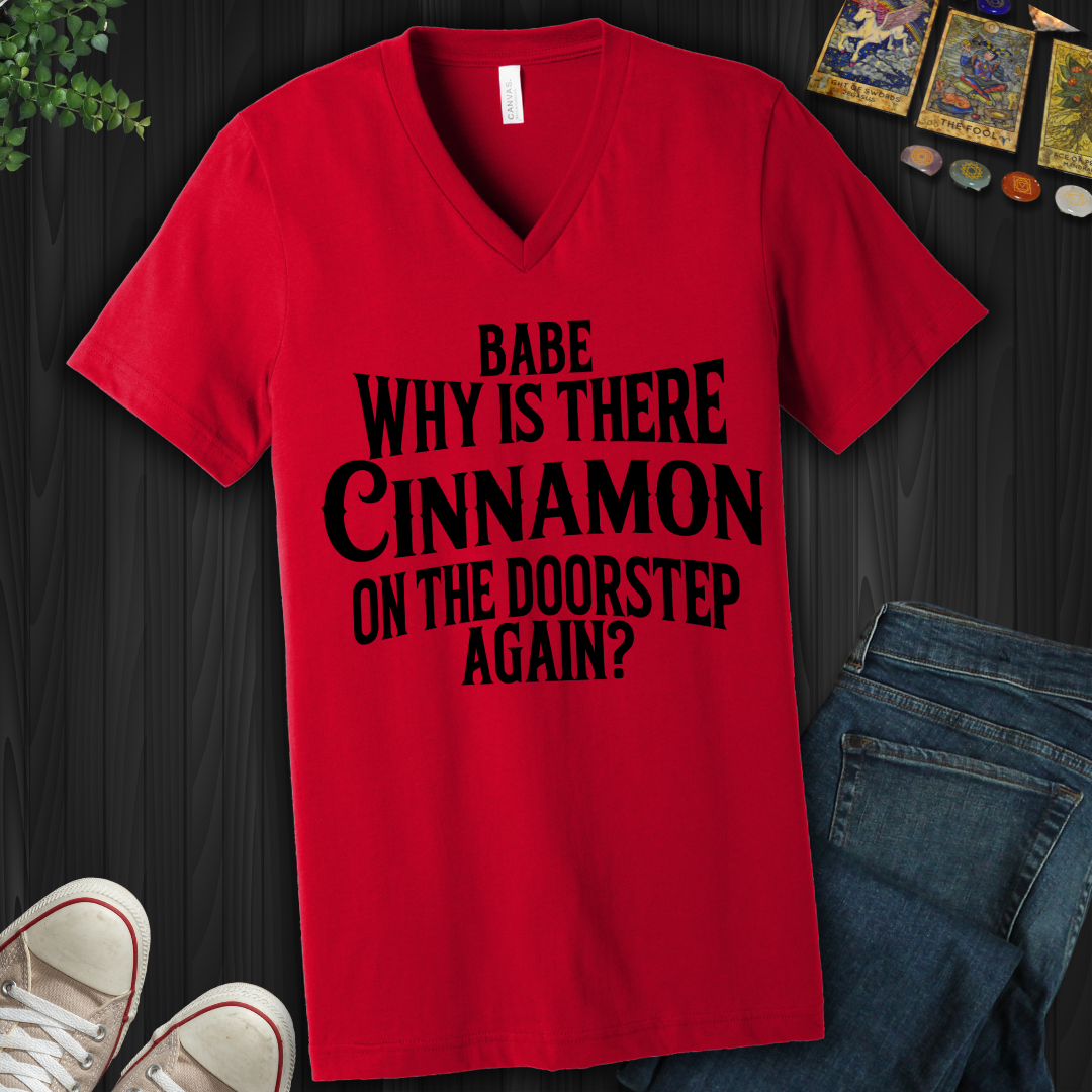 Babe, Why Is There Cinnamon V-Neck Tee