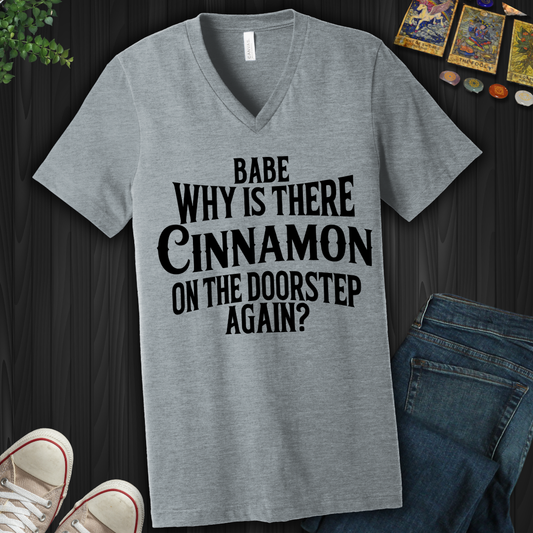 Babe, Why Is There Cinnamon V-Neck Tee