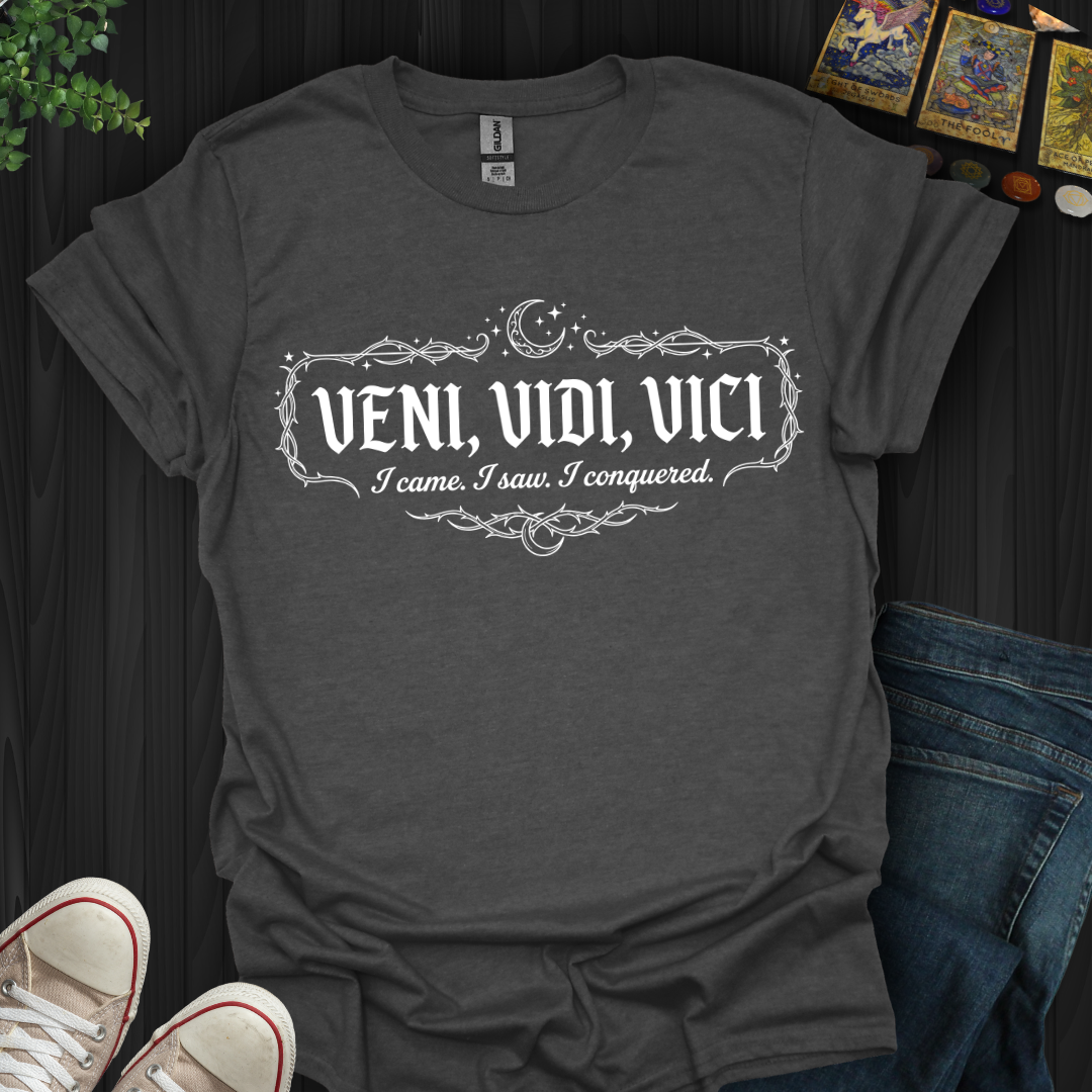 Veni, Vidi, Vici T-Shirt