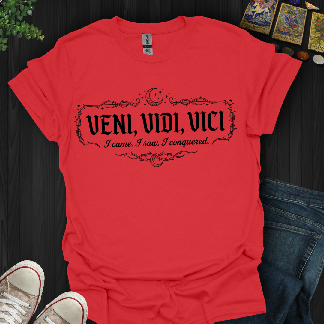Veni, Vidi, Vici T-Shirt