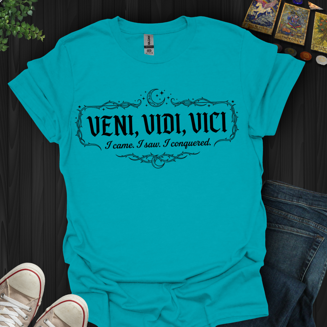 Veni, Vidi, Vici T-Shirt