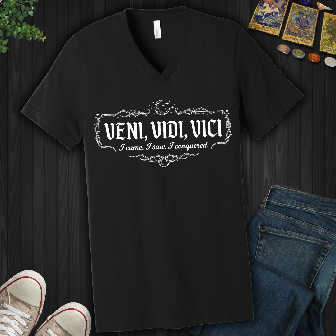 Veni, Vidi, Vici  V-Neck Tee