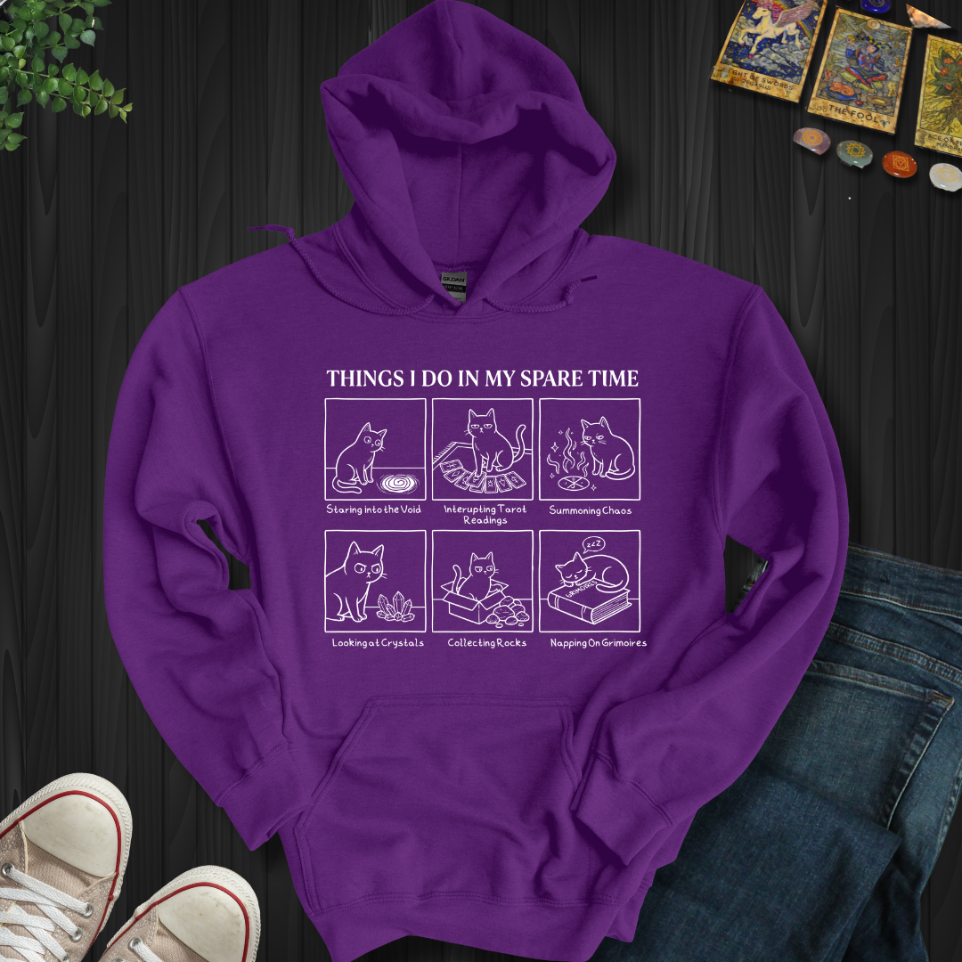 Things I Do In My Spare Time Hooded Sweatshirt