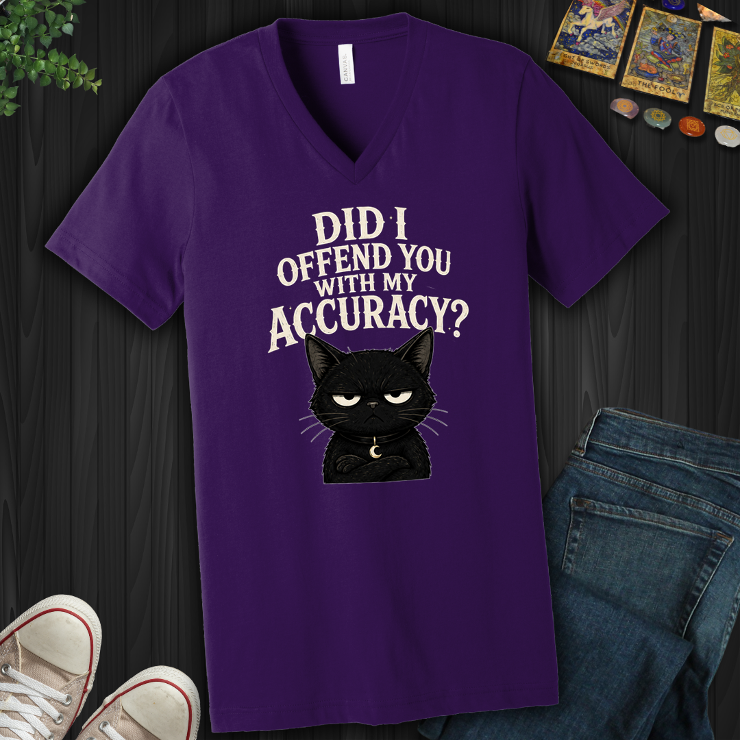 Did I Offend You With My Accuracy- V-Neck