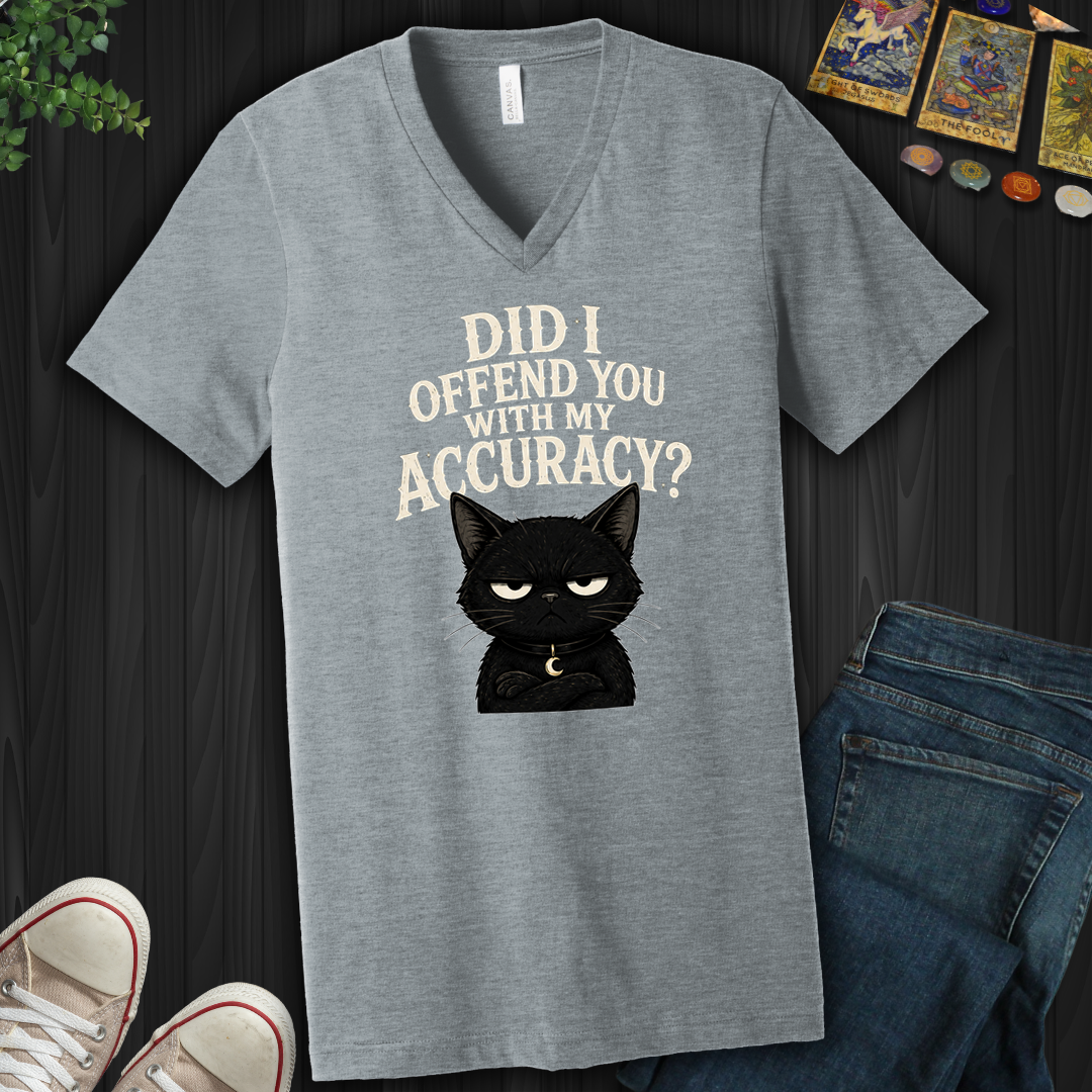 Did I Offend You With My Accuracy- V-Neck