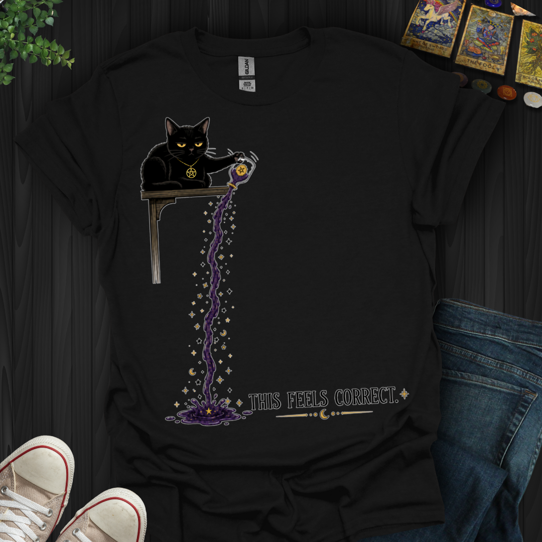 This Feels Correct- T-Shirt