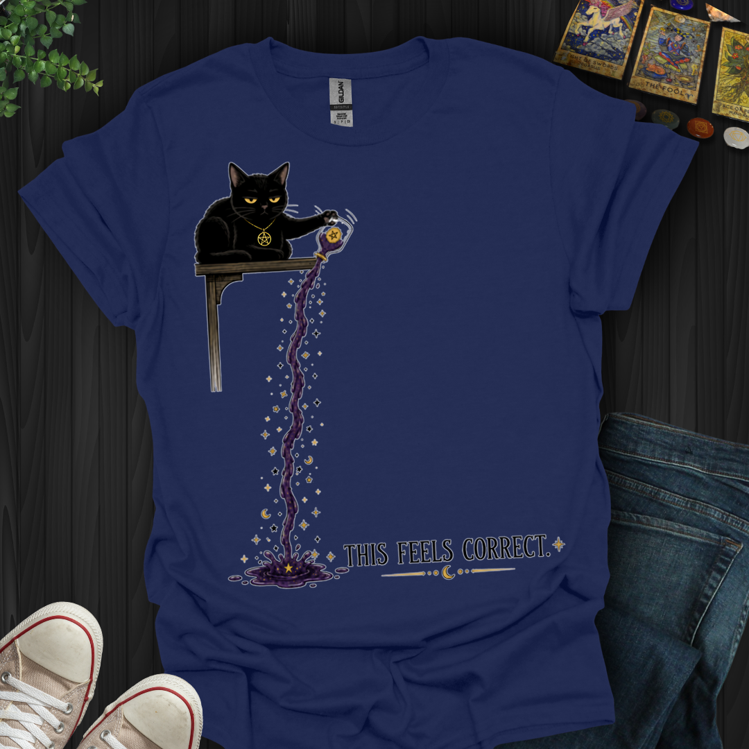 This Feels Correct- T-Shirt
