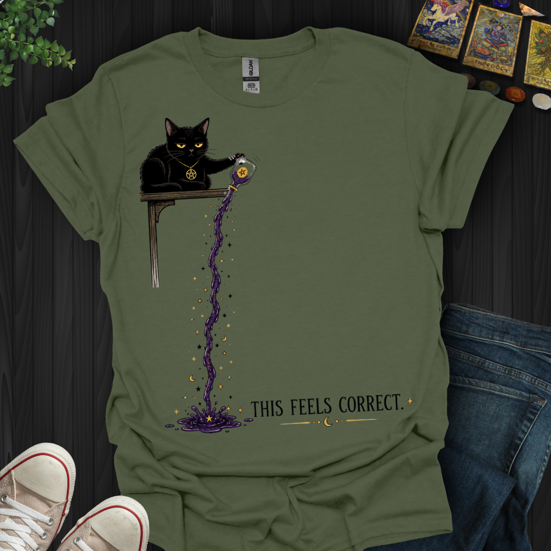 This Feels Correct- T-Shirt